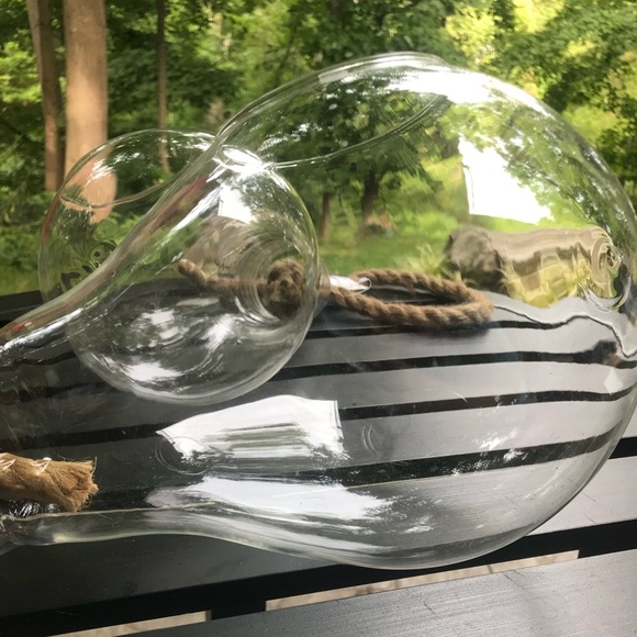 Brand New Hanging Glass Light Bulb Terrariums for Plants or Decor (Set of 2) - Picture 8 of 14